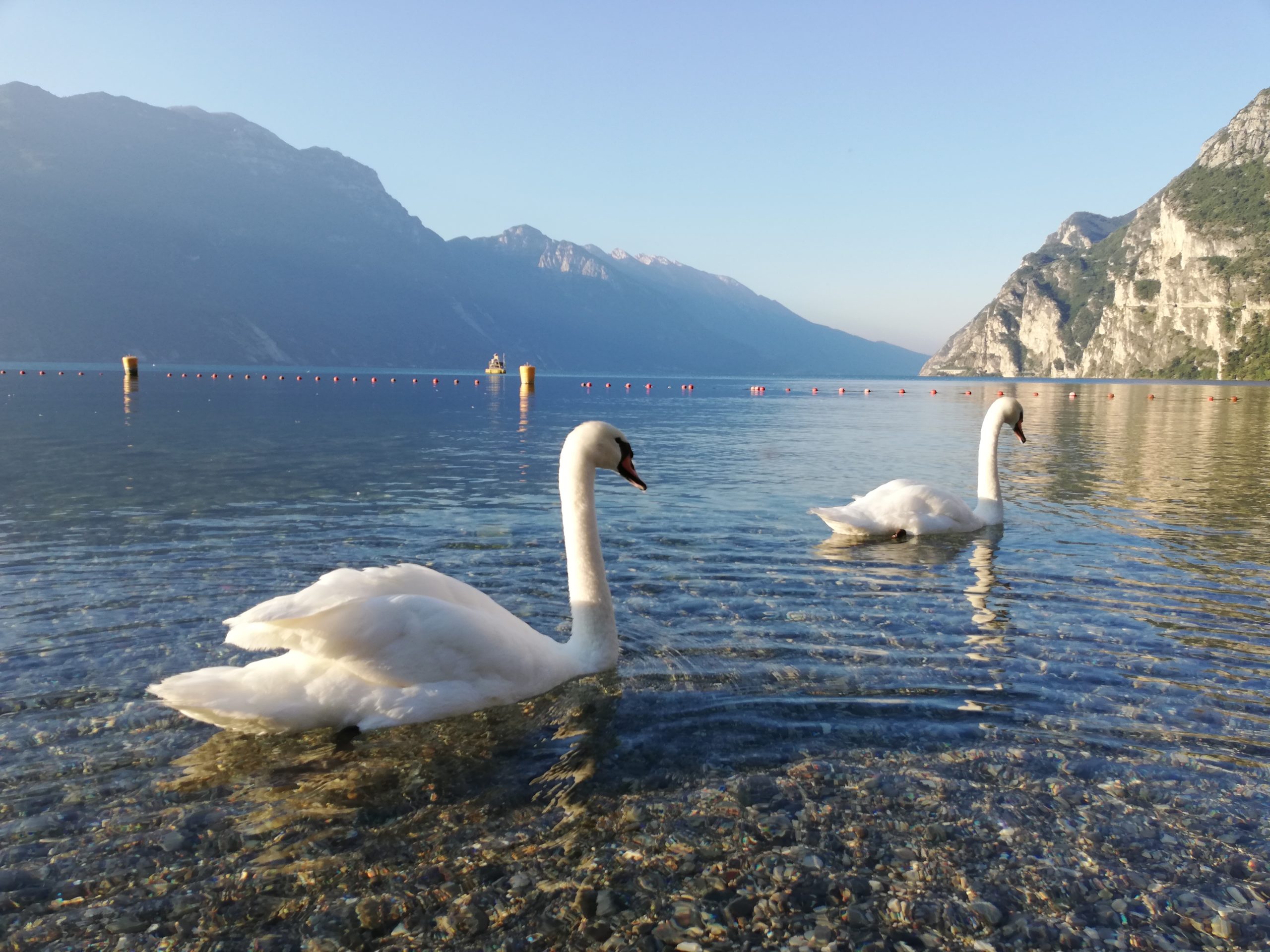 Lago di Garda — Tremosine