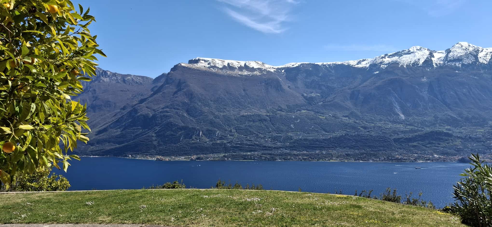 Vista panoramica sul Lago di Garda con alberi di limone e le Dolomiti innevate